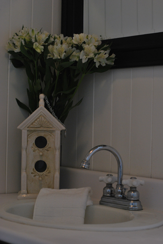 Thistle Lane Guesthouse Bed n Breakfast