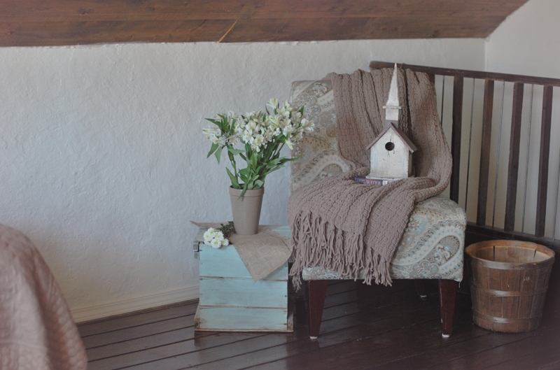 Thistle Lane Guesthouse Bed n Breakfast